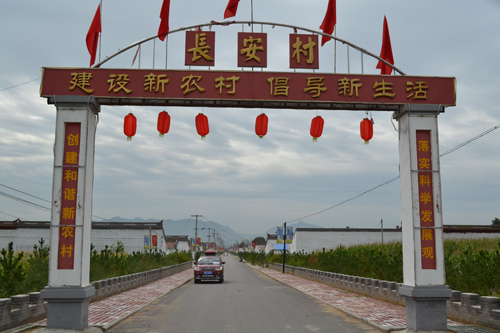 长安村发展致富产业惠民工程讲求实效