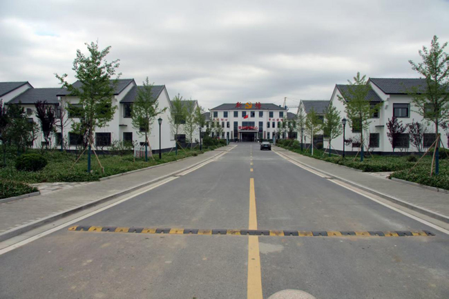 江苏省射阳县四明镇新塘村：乡村蝶变绘新景
