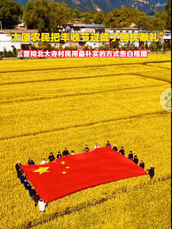 稻花飘香迎国庆 丰收献礼贺华诞——太原市晋祠镇北大寺村以金秋稻浪为祖国庆生
